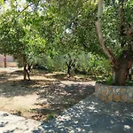 Lelegianni Studios And * Psakoudia