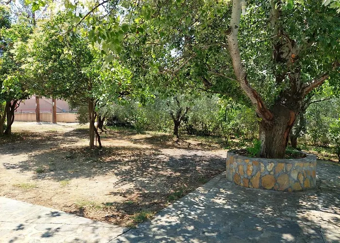 Lelegianni And * Psakoudia